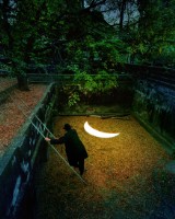 藏品(黃金葉海)的圖片